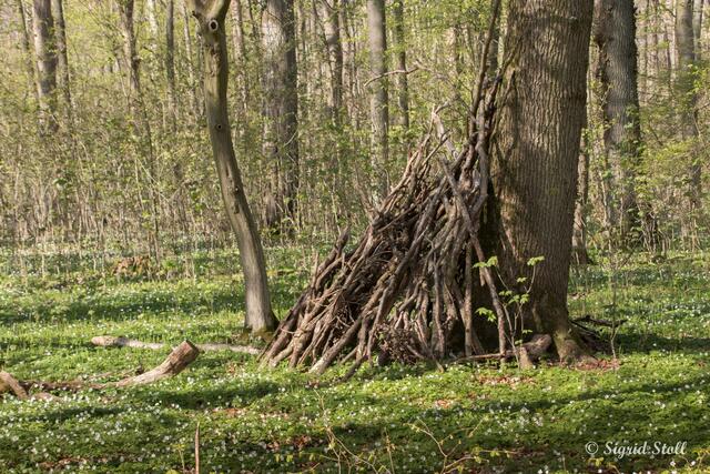 Bauwerk von Kindern im Wald