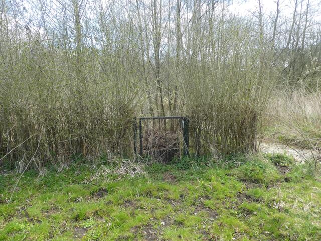 Eingewachsener Garten...