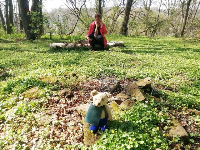 O'Brian immer vorneweg - Wanderung durch den Sandsteinbruch Nebra am 25.4.2021 !