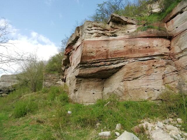 O'Brian immer vorneweg - Wanderung durch den Sandsteinbruch Nebra am 25.4.2021 !