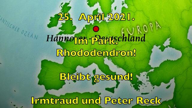 25. April.2021. Im Park. Rhododendron. Bleibt gesund!