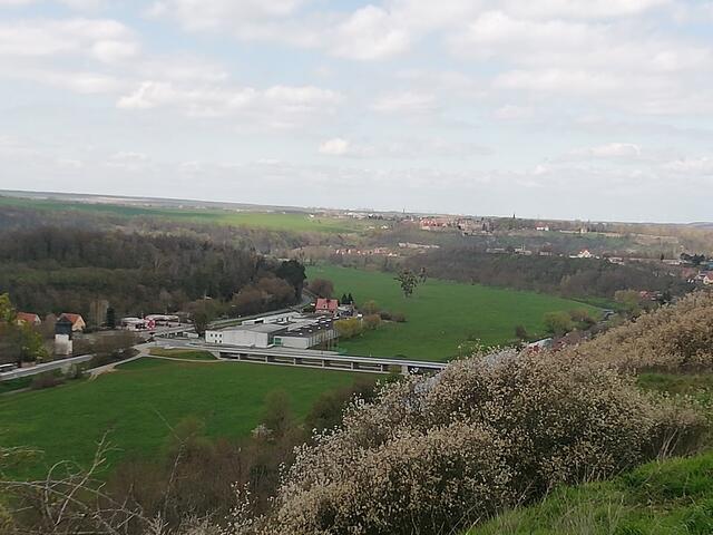 O'Brian immer vorneweg - Wanderung durch den Sandsteinbruch Nebra am 25.4.2021 !