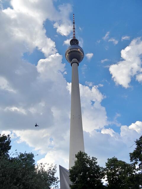Wolkiger Himmel mit Vogel