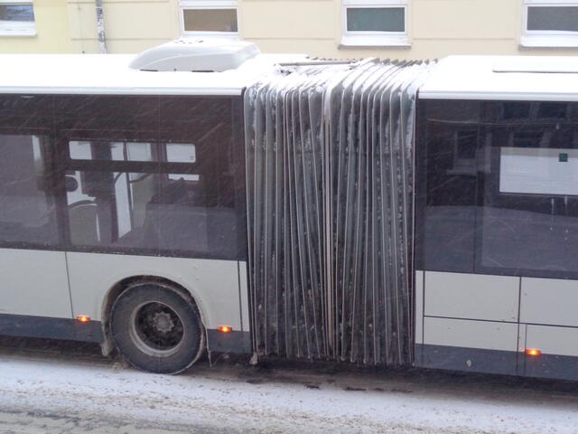 Das Foto habe ich während des Schneefalls im Februar gemacht.