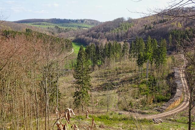 Blick von der Schönen Aussicht ins Leinetal