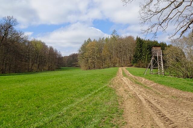 zerfahrener Forstweg im Wiebecktal