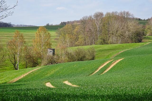 Blick von der Bärenroute auf Horbeck