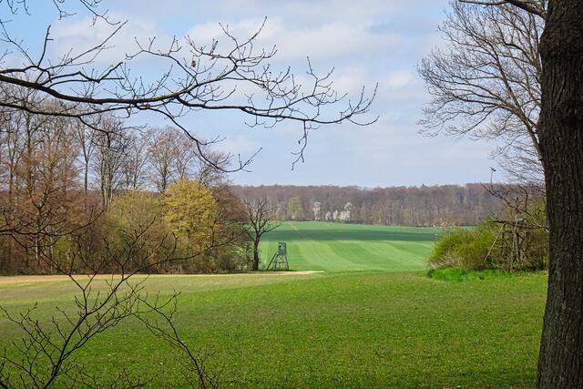 Blick von der Bärenroute