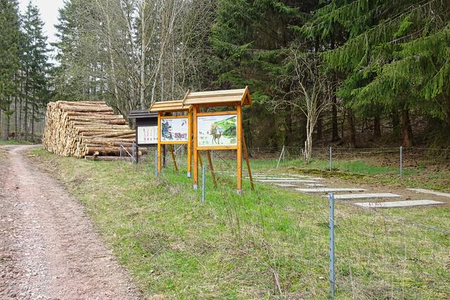 hier am Naturpfad kann man die Trittspuren der Wildtiere vergleichen