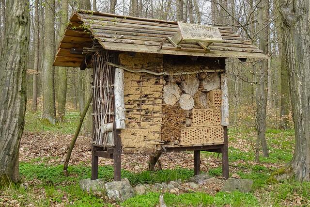 Insektenhotel Biene Maja