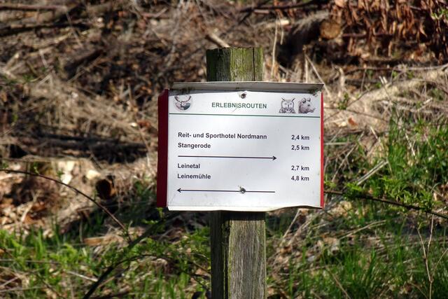 Wegweiser auf der Bärenroute. Wenn man die Bärenroute entgegengesetzt des Uhrzeigersinns benutzt, muss man hier zur Schönen Aussicht abbiegen