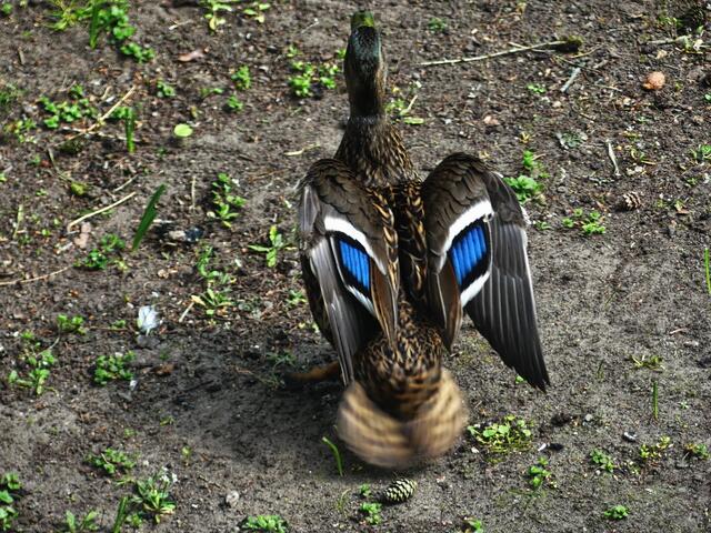 und Tschüss bis demnächst