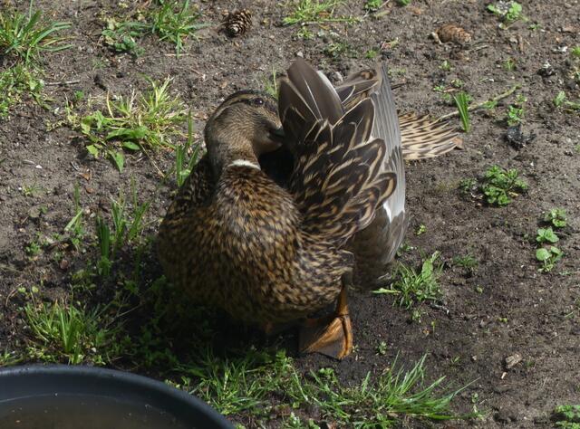 oha du hast mein Köpfchen entdeckt