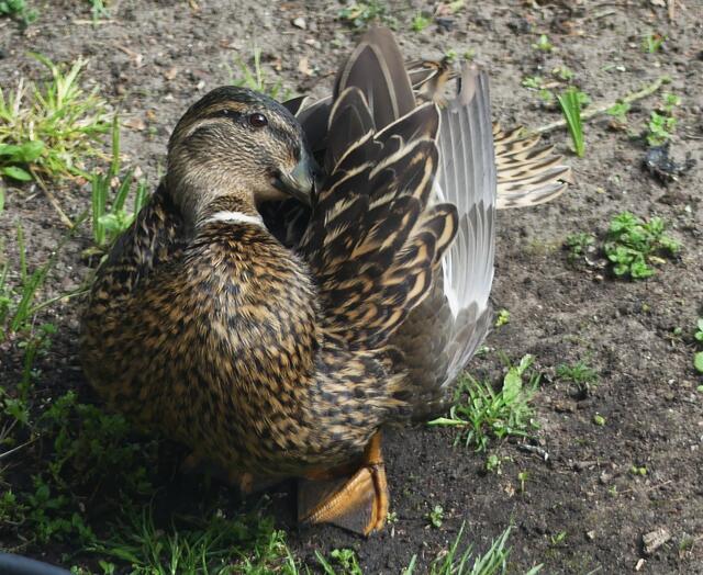 warte kurz - ich mach mich für Dich schön