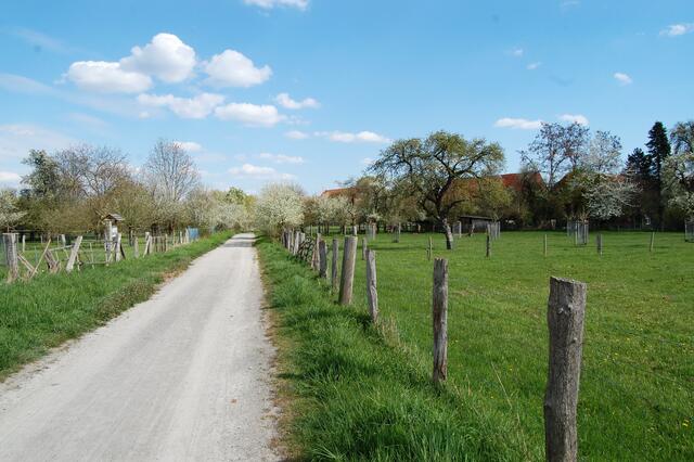 Durch Streuobstwiesen geht es auf das alte Hemmingen zu.