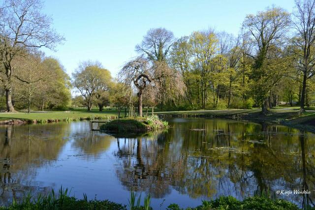 Gartengeschichten - Hinüberscher Garten in Marienwerder: Teich mit Blumeninsel (Foto: Katja Woidtke) | Foto: Katja Woidtke