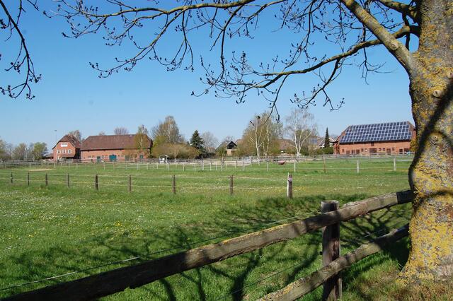 Koldingen ist das letzte Dorf der Leinemasch, bevor die Koldinger Seenplatte beginnt.