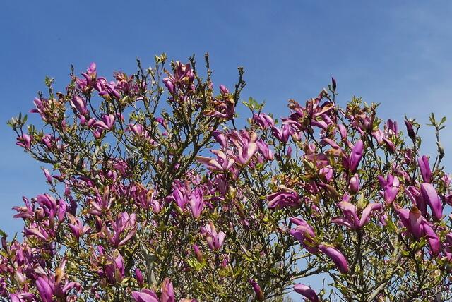 blauer Himmel und Farbe