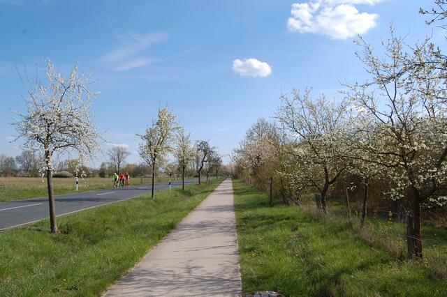 Wir wenden uns jedoch auf schnurgeradem Weg am Obstlehrpfad entlang nach Harkenbleck.