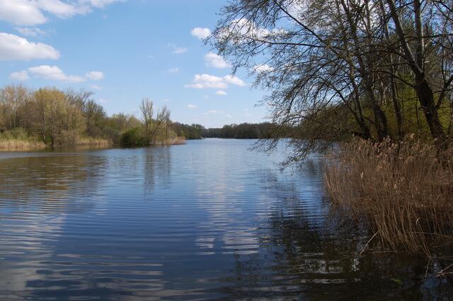 Der Große Ricklinger Kiesteich, einst, wie die meisten großen Teiche in dieser Landschaft, durch Kiesabbau entstanden. Andere, die kleiner sind, waren Tongruben.