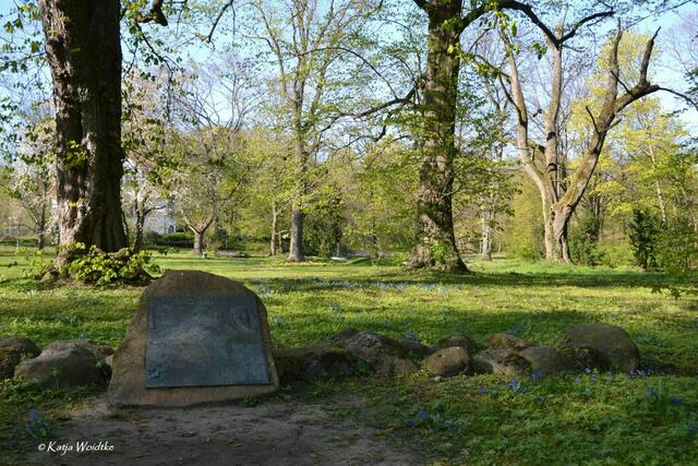 Gartengeschichten - Hinüberscher Garten in Marienwerder: Ehemaliger Standort des Amtmannshauses (Foto: Katja Woidtke) | Foto: Katja Woidtke