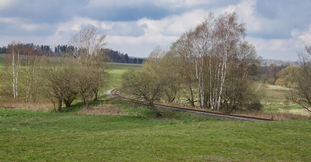 Gleise der Selketalbahn in der Stieger Heide