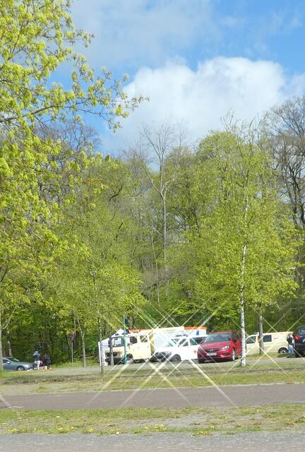 Zoo Schwerin hier können Sie sich testen lassen, wenn Sie in den Zoo wollen und und noch nicht geimpft oder Genesener sind. Gesunde haben derzeit keinen Zutritt zum Zoo.