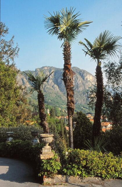im Garten des Hauses La Collina