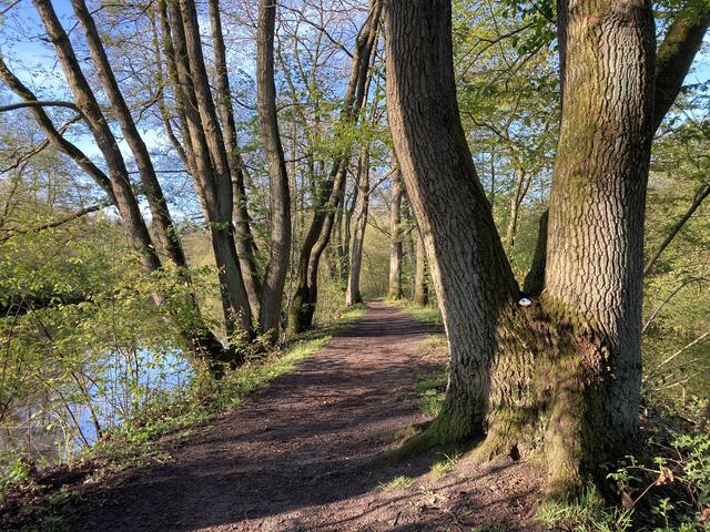 Rechts vom Wanderweg an der Oste in 27432 Bremervörde seht ihr den Ederstein aus Battenberg in etwa einem Meter Höhe. | Foto: bf
