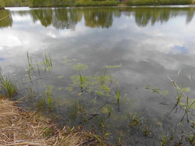 . . . nur kurz wandern, entspannen und die Ruhe in dieser Natur genießen . . .