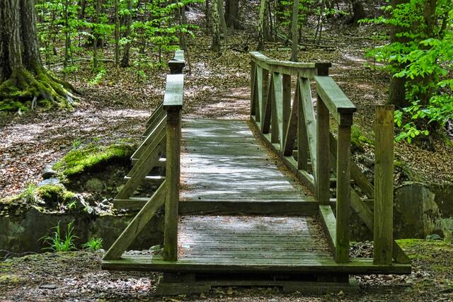 Holzbrücke über den Grenzfluss Ecker