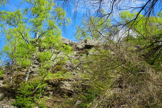 Blick vom Forstweg hinauf zur die Kattnäse