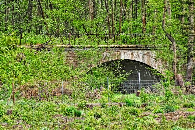 1894 entstand diese Naturstein - Gewölbebrücke über die Ecker für die Bahnlinie Ilsenburg - Bad Harzburg. Da erst 4 Jahrzehnte später die ca. 10 km entfernte Eckertalsperre gebaut wurde, war ein relativ hoher Bahndamm zur Sicherheit  gegen mögliche Hochwasser der Ecker erforderlich. Seit 1945 ist die Bahnlinie außer Betrieb