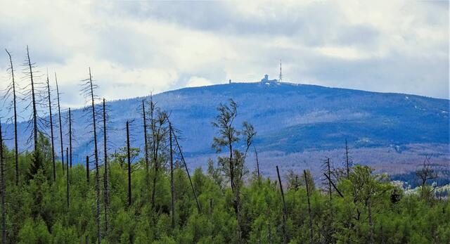 der Brocken bei Regen