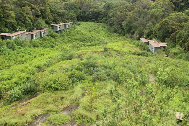 Klasse Idee in Sri Lanka: Container, die auf einer ehemaligen Teeplantage zu Hotelzimmern auf Stelzen ausgebaut werden.
