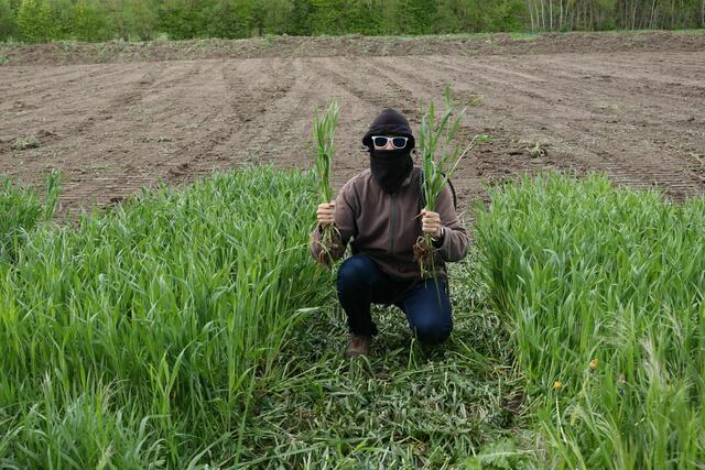 Das Feld ist bis auf ein paar Reste weg. Da braucht man auch keinen Danny Danger mehr.