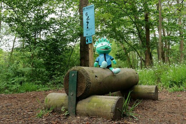In der Nähe von Froschhausen sollte man regelmäßig Froschhüpfen.