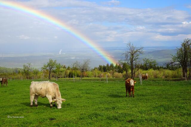 Regenbogen zwischen Kupferberg (Měděnec) und Köstelwald (Kotlina) über dem Egertal