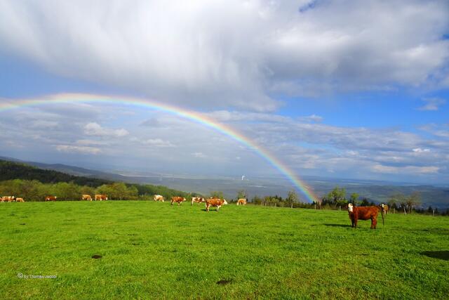 Regenbogen zwischen Kupferberg (Měděnec) und Köstelwald (Kotlina) über dem Egertal