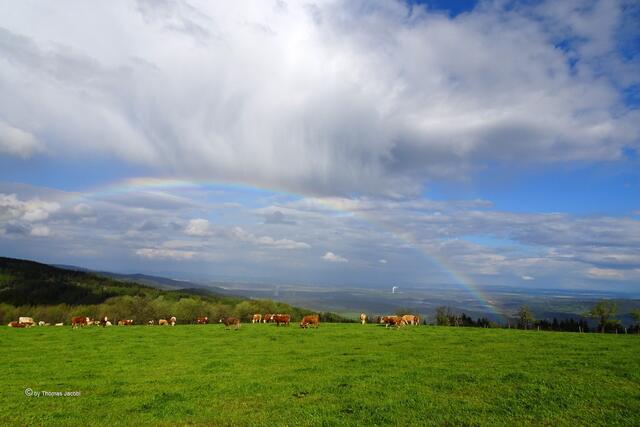 Regenbogen zwischen Kupferberg (Měděnec) und Köstelwald (Kotlina) über dem Egertal