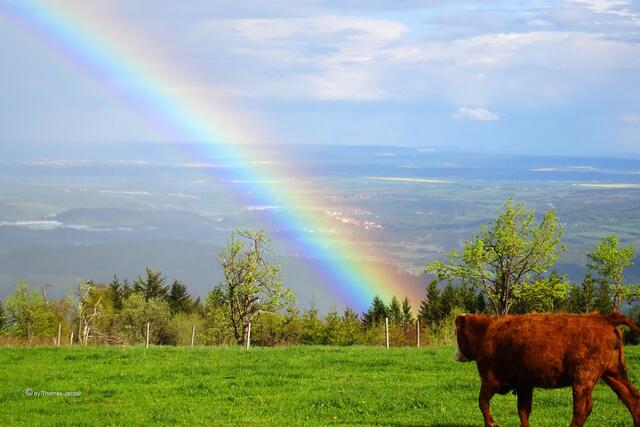 Regenbogen zwischen Kupferberg (Měděnec) und Köstelwald (Kotlina) über dem Egertal
