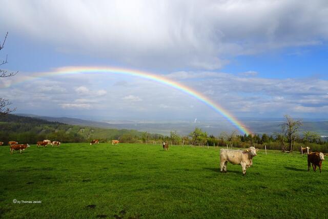 Regenbogen zwischen Kupferberg (Měděnec) und Köstelwald (Kotlina) über dem Egertal