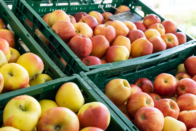 Schneider's Obst- und Kaseckerl - Impressionen aus dem Fachgeschäft in Friedberg-Süd