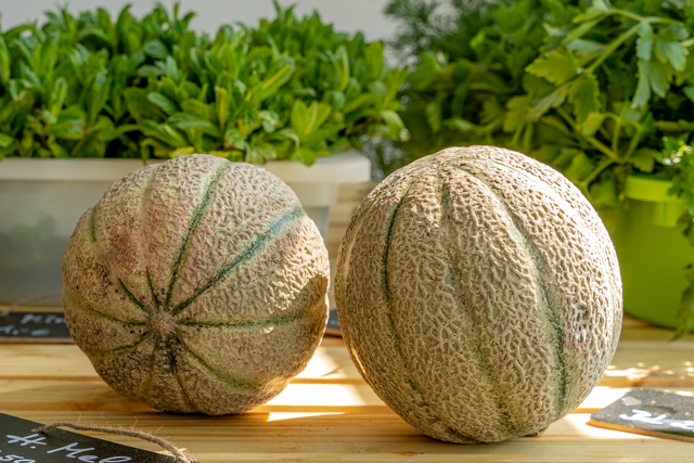 Schneider's Obst- und Kaseckerl - Impressionen aus dem Fachgeschäft in Friedberg-Süd