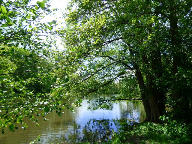 Schön, 'ne? :-)))))))