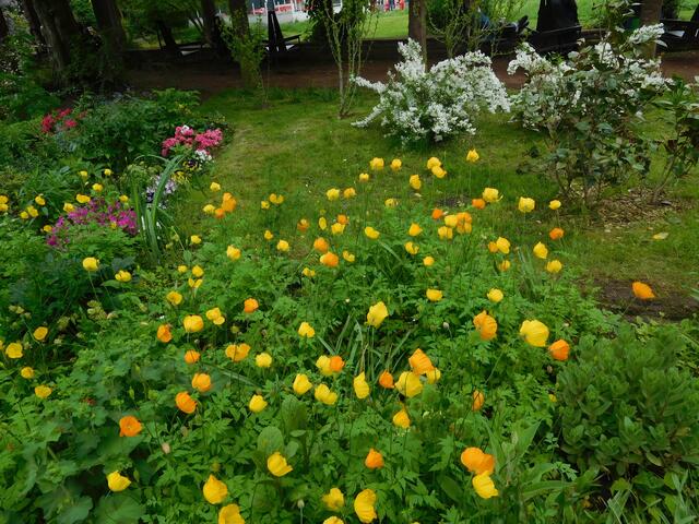 Botanischer Garten Duisburg Kaiserberg