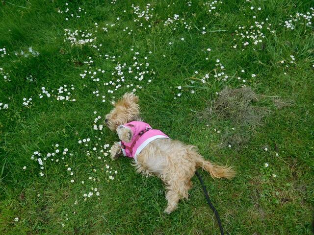 Gina fühlt sich wohl.