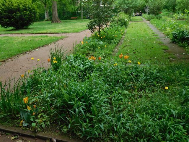 Frühlingsspaziergang im botanischen Garten Duisburg