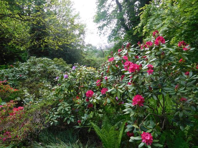 Botanischer Garten Duisburg Schweizer Straße