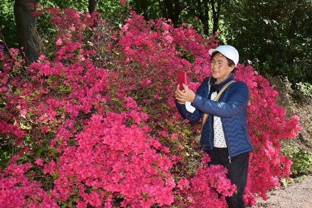 Blütenpracht im Stadtpark